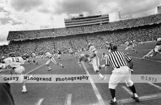 Illustration for article titled What If Famous Photos Were Ruined By Annoying Watermarks?